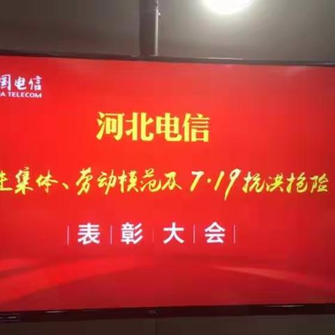 河北传输荣获河北电信公司7.19抗洪抢险表彰先进集体