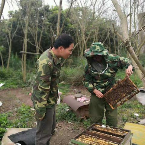 愿甜蜜能用真心传递——记一种养蜂人的情怀