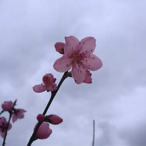 再访"和和"