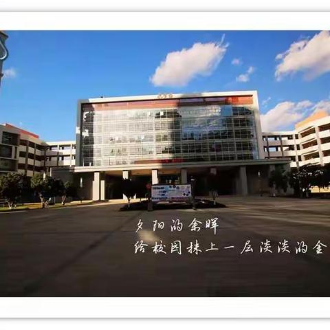我们的期末总结