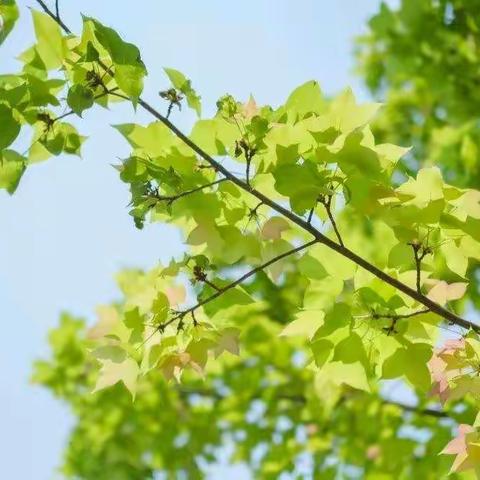 教研，无需花哨，而是落地——记高一地理备课组教研活动