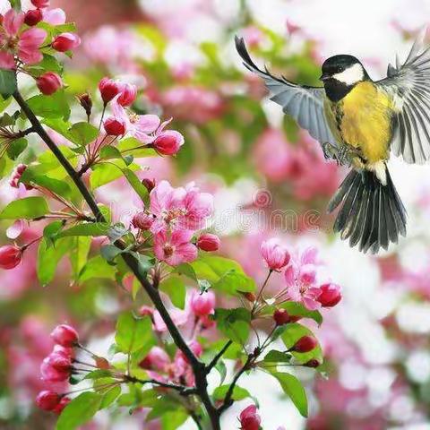 春天的约定---蟒川镇晓晓幼儿园绘画周活动