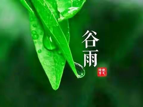 皇家酱骨的美篇