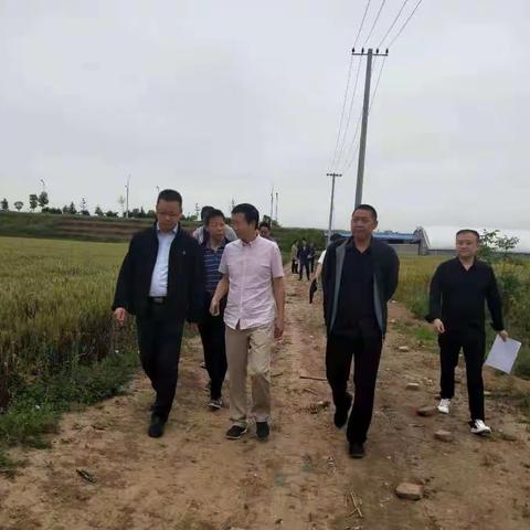 群众无小事，事事抓落实