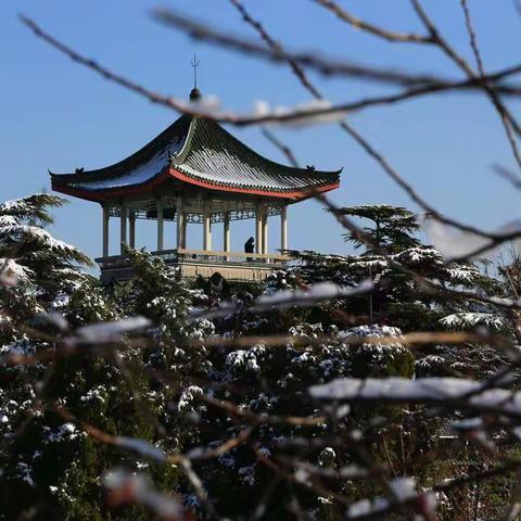 2021年3月1日第一场雨加雪覆盖大地，南山公园的雪景又吸引了不少市民观赏，特别是爱好摄影的朋友们拍照的机会