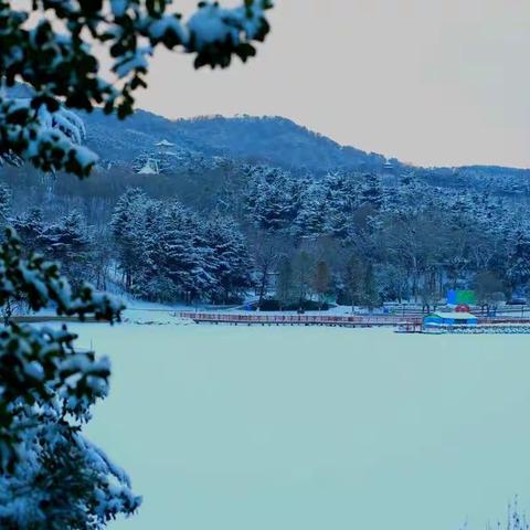 小寒萧瑟雪飞扬，冷热酸甜任你尝｡^‿^｡