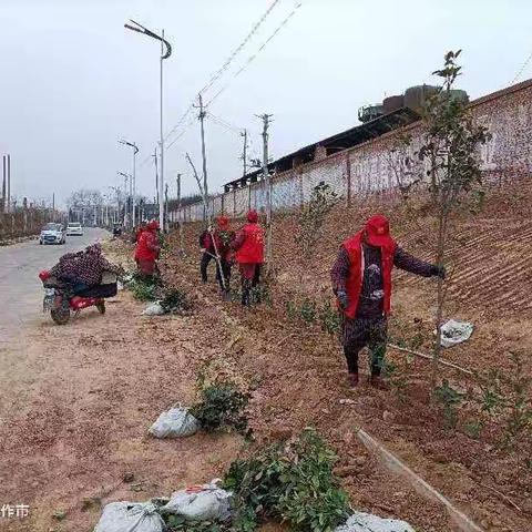 孟州市人居环境整治