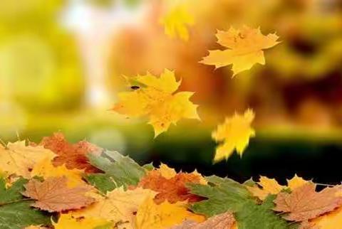 信阳市三小2020届追梦（10）班蝴蝶队🦋🦋🦋第一次秋季研学活动来到植物园，让孩子亲身感受秋天的美好！