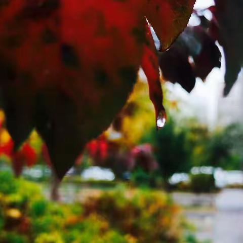 静待有缘，不负余生不负自己