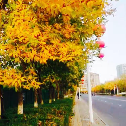 西域之秋，爱你的厚重