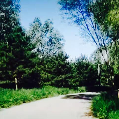 岁月静好只是愿望，世事无常才是日常