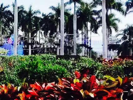 心中若有桃花园，何处不是水云间