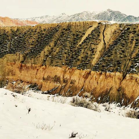 探寻新疆S101省道百里丹霞