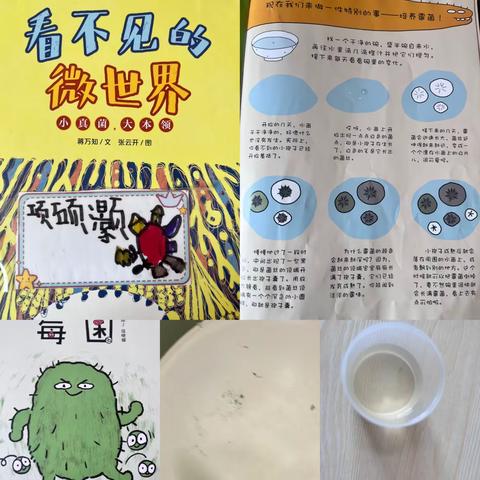 《微生物里的大世界》赤水市实验幼儿园2023年春大四班3月班本课程实施小结