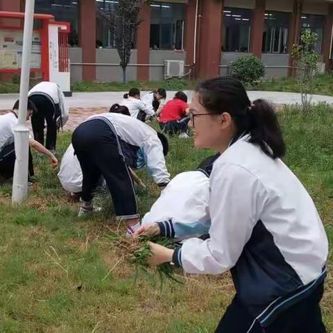 挥洒青春汗水 绽放生命精彩——记华师大息县附中2018级一校区师生校园综合实践活动