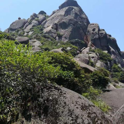 乌山之重游