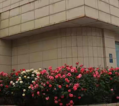 丰南支行举办2019年职工趣味运动会