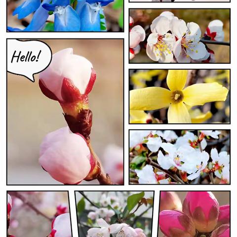 “疫”散花开  拥春入怀——圣水镇中心小学“寻找春天”主题实践活动成果展