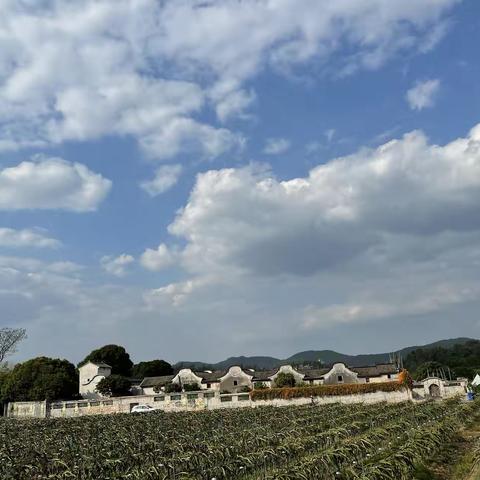 百年老屋—南華又廬