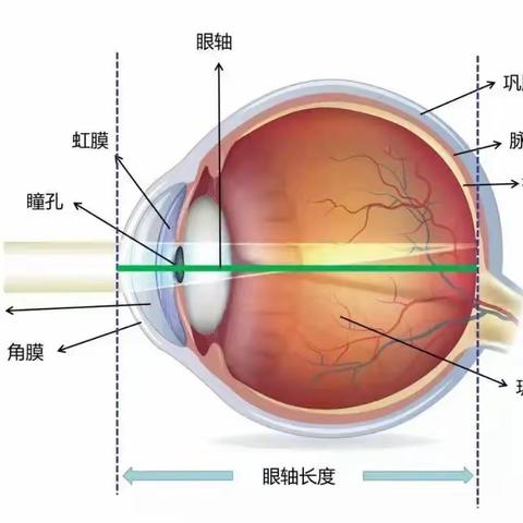 造视界视慧机