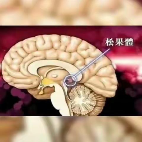 馥兰朵智慧机是骗局么？