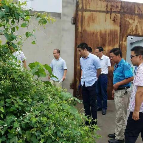 新丰街道党工委书记兼新丰工业园区管委会主任杨晓东带队对辖区各类企业进行检查