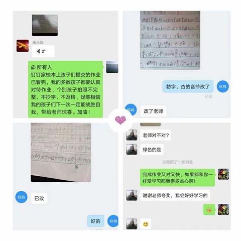 毕家寨小学举行网络升旗仪式