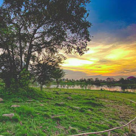 断桥残雪的美篇