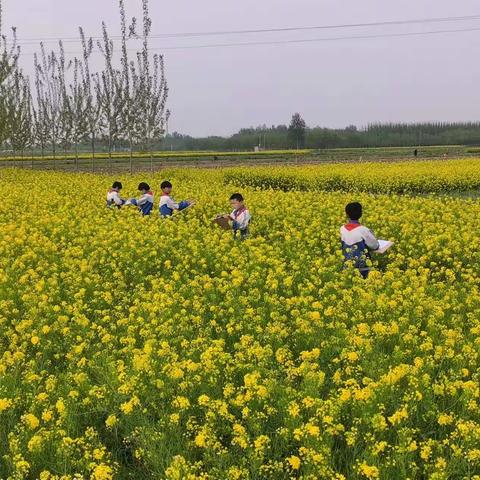 马鲁集小学户外写生活动