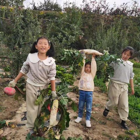 田间地头盼丰收   家务劳动促成长——阿阳小学二年四班中秋国庆假期劳动掠影