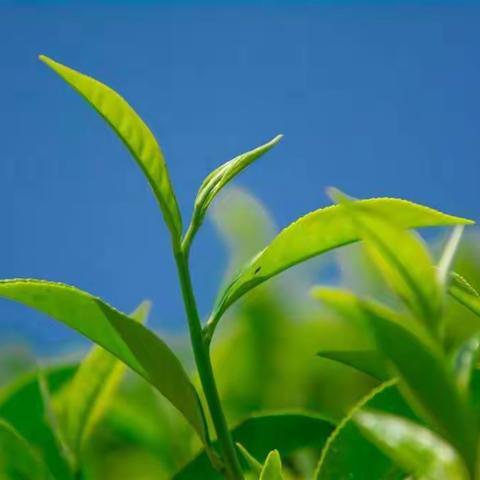 提高自身素质，学会终身学习