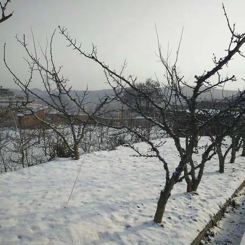 阳光普照，融雪无声；家校走访，情暖人间。——记录白家湾九年制学校寒假大走访活动