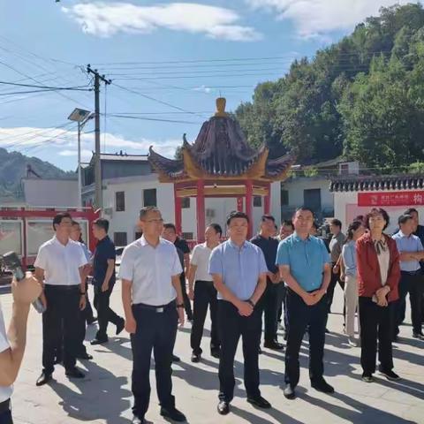 广电5G数字乡村观摩