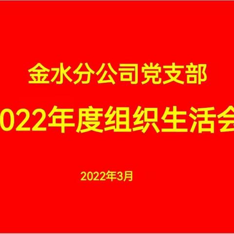 公司党委书记、总经理汪勇督导金水分公司党支部2022年度组织生活会