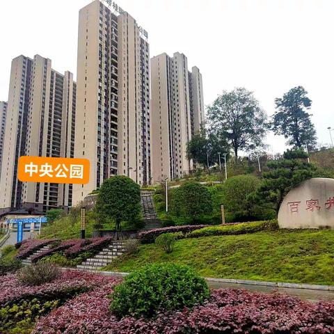 中央公园