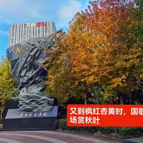 又到枫红杏黄时，国歌广场赏秋叶