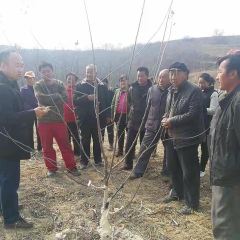 南泥湾镇：田间地头送技术  产业扶贫促增收——南泥湾镇陈子沟村开展春季果树管理暨贫困户产业现场培训会