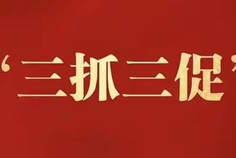 【“三抓三促”进行时】
