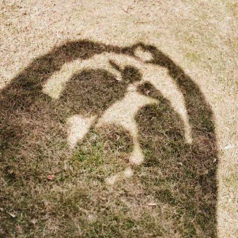 爱在深秋（2.11班特色作业）