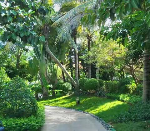 穿行在海南热带雨林的夏季