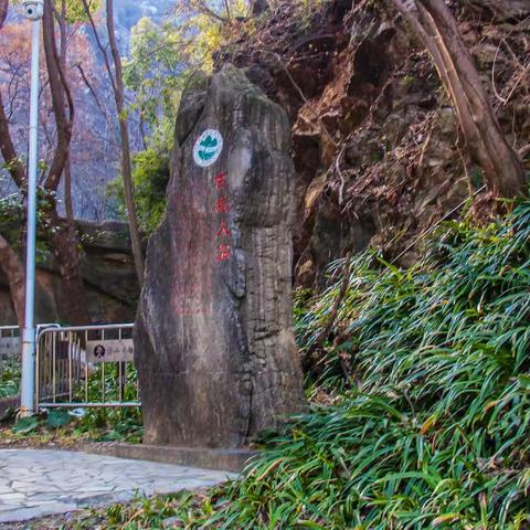 跨越万年的邂逅——南京湯山猿人洞探秘