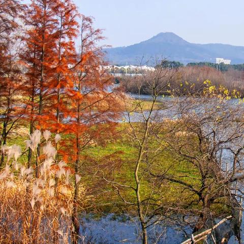 时光遇见冬——冬至即景