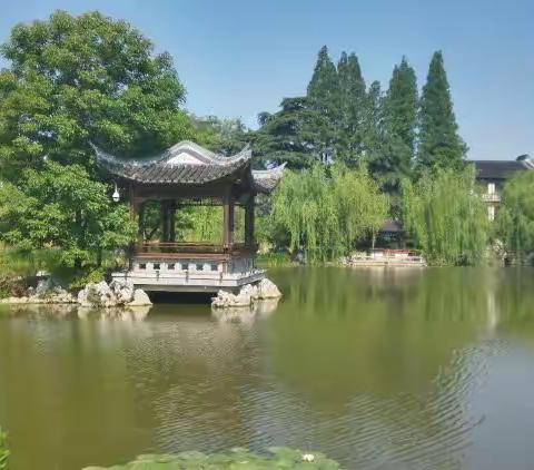 愚园——都市里的世外桃园