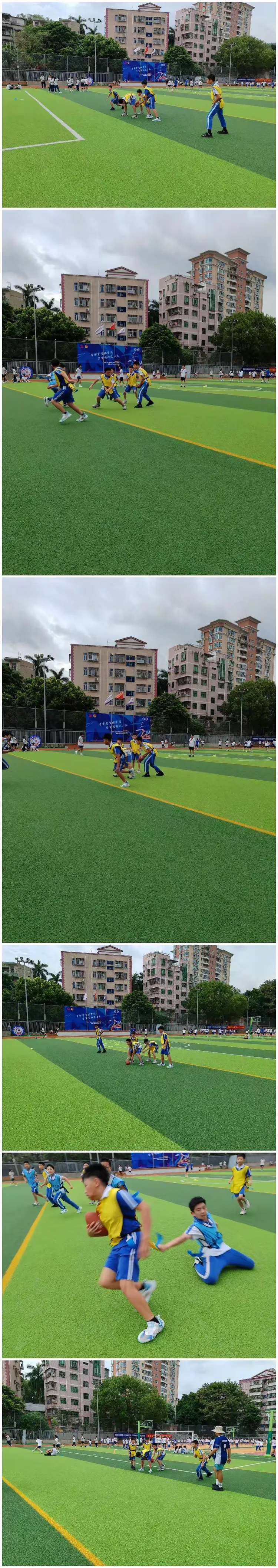 "橄"于拼搏,"榄"彩飞扬