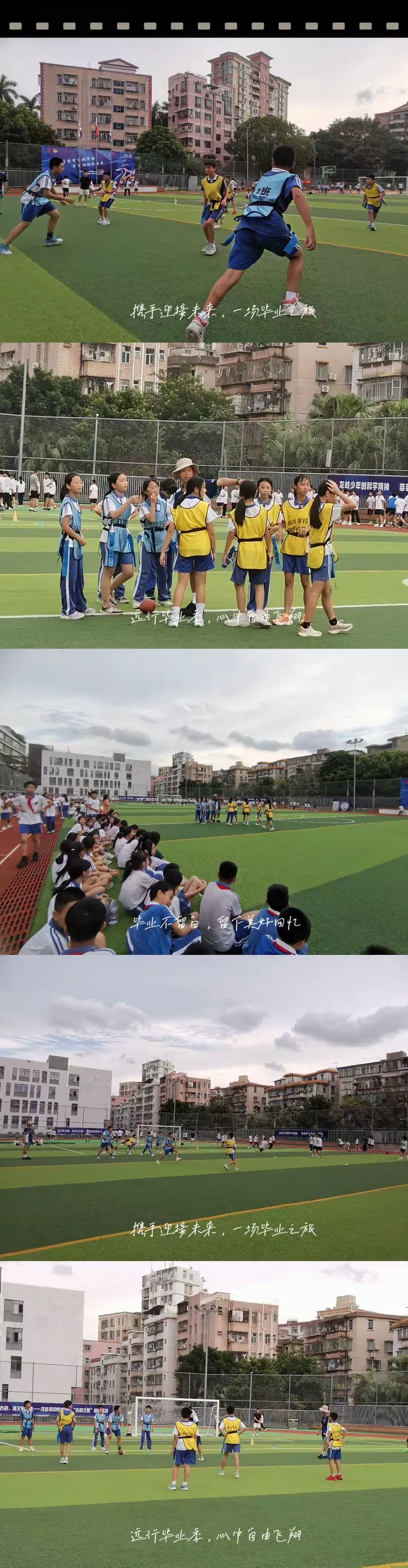 "橄"于拼搏,"榄"彩飞扬