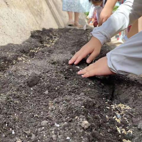 快乐劳动，幸福生活！