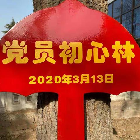 【邯山区马庄乡】“红色绿化活动”正在进行时