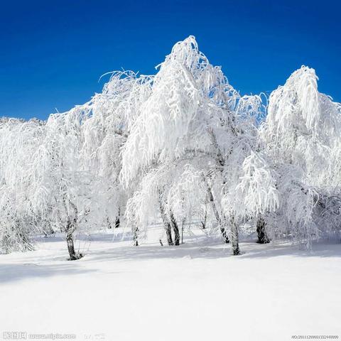 冰雪奇缘――羌白新世纪幼儿园冰雪天气温馨提示