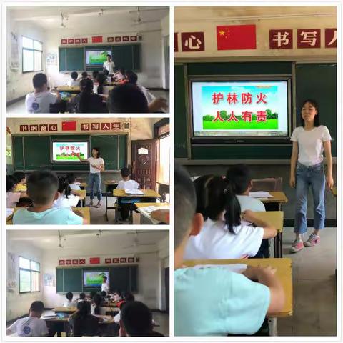 【森林防火】各小学班会图集