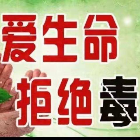 珍爱生命，远离毒品—丛中中心校薛庄小学开展禁毒知识学习活动